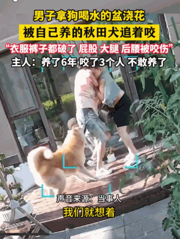 “太吓人了！”宁夏，一男子随手拿起自家狗喝水的盆子浇花，谁想到，养了整整六年的秋