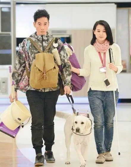 当初，胡杏儿在TVB的最后一部剧，是和陈豪一起拍的。可陈豪在拍摄的过程中，明确的