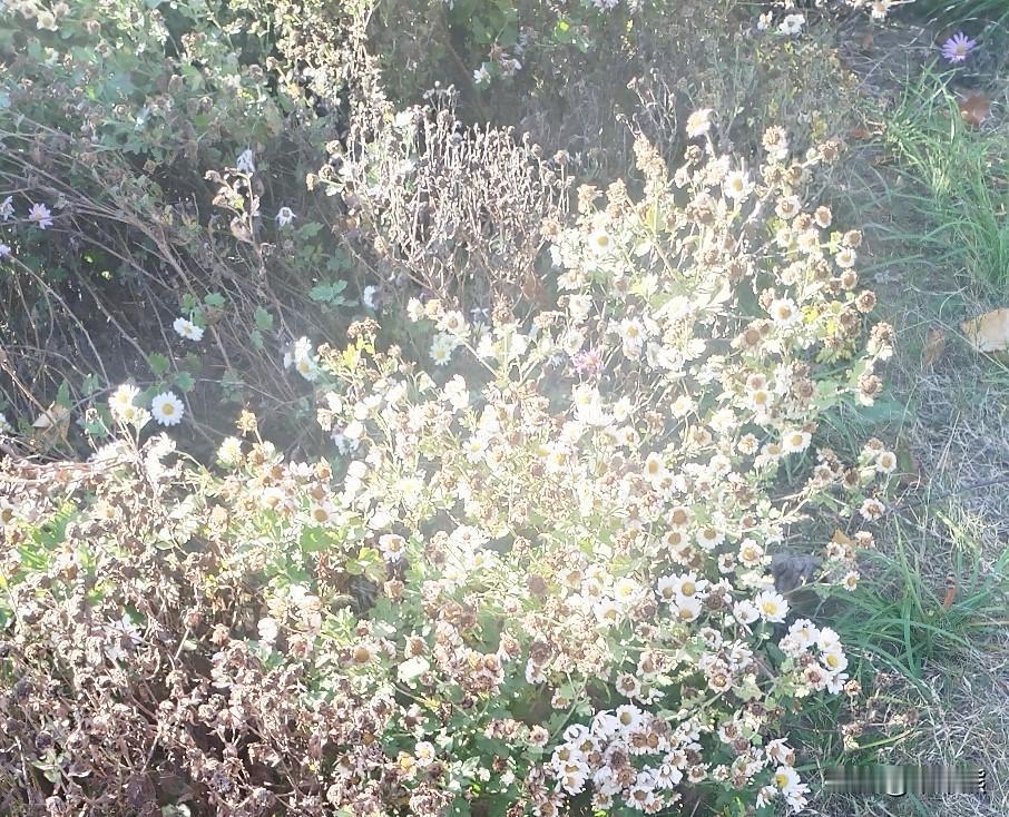 这次功臣真的走了。天下没有不散的筵席，在东方甄选东方小孙也挣到了钱，实现了财务