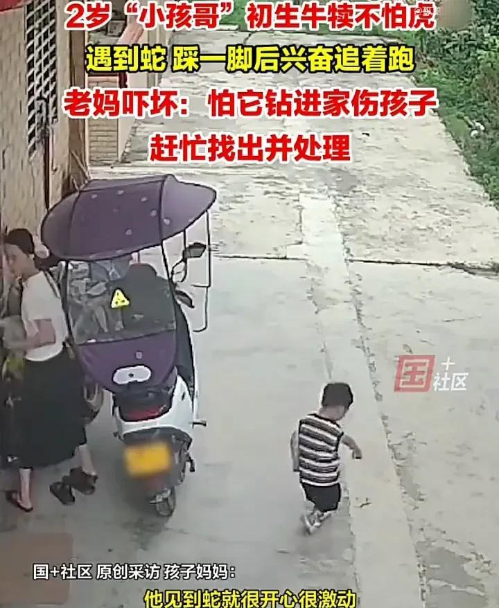 太惊险了！6月16日，广东揭阳一名女子带2岁宝宝在家门口玩耍时，从角落里突然窜出
