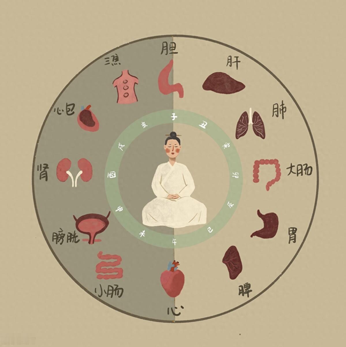 上焦如羽、中焦如沤、下焦如渎！读懂三焦本质，一招通调三焦、安稳五脏大家好，我是