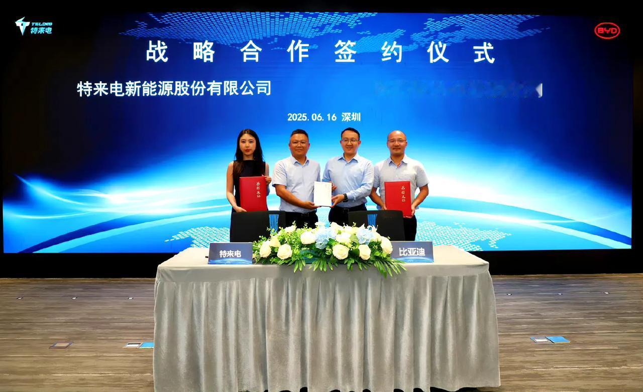 一桩不建，双枪充电，比亚迪作为新能源车龙头企业，很多人非要逼它，行业很早就流传的