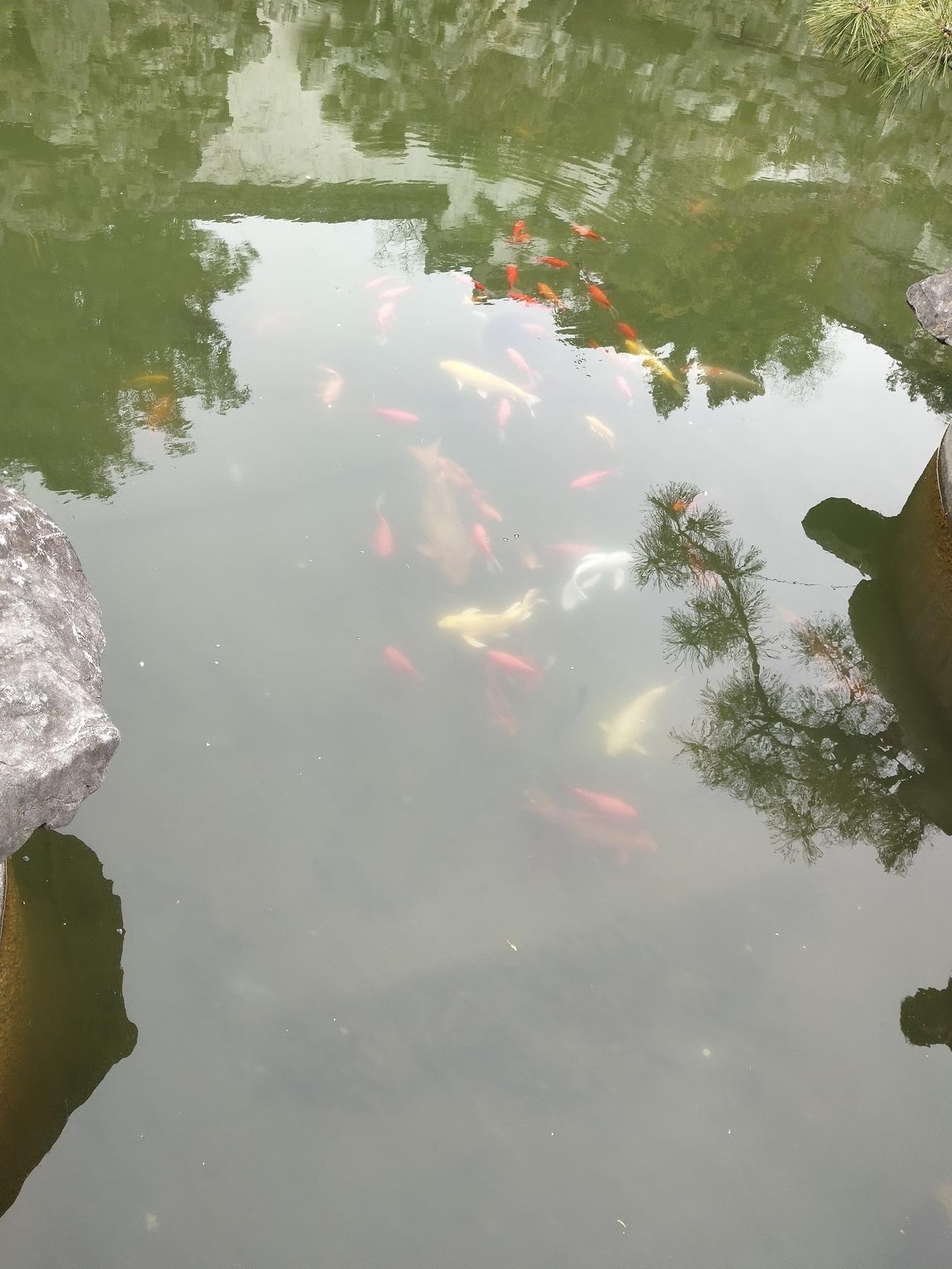 不知从什么时候起，把自己活成了守财奴。银行打电话有一张存折到期了。5万块钱存