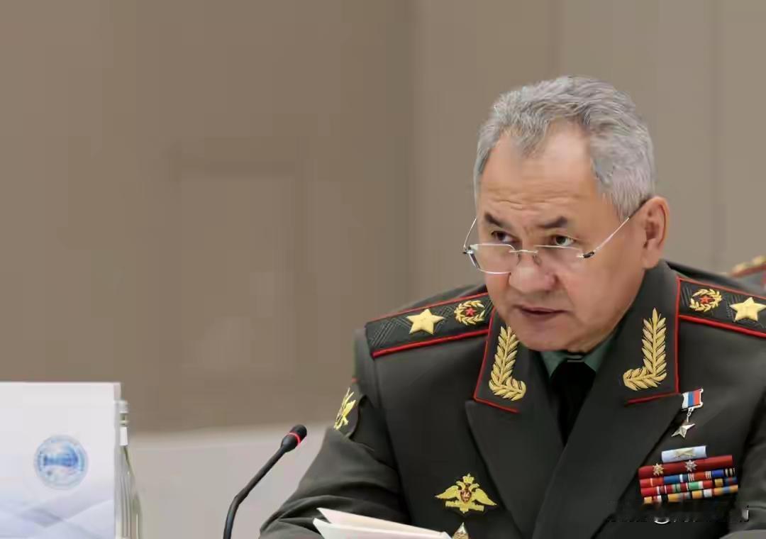 日本真是要翻天了俄罗斯前国防部长绍伊古11月13日痛批日本首相高市早苗涉台不当