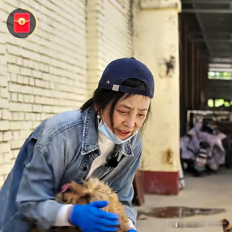 我爱看李勤勤拍的抖音，几乎每集必看，主要是喜欢看她养的那些狗狗。最大的狗狗足有二