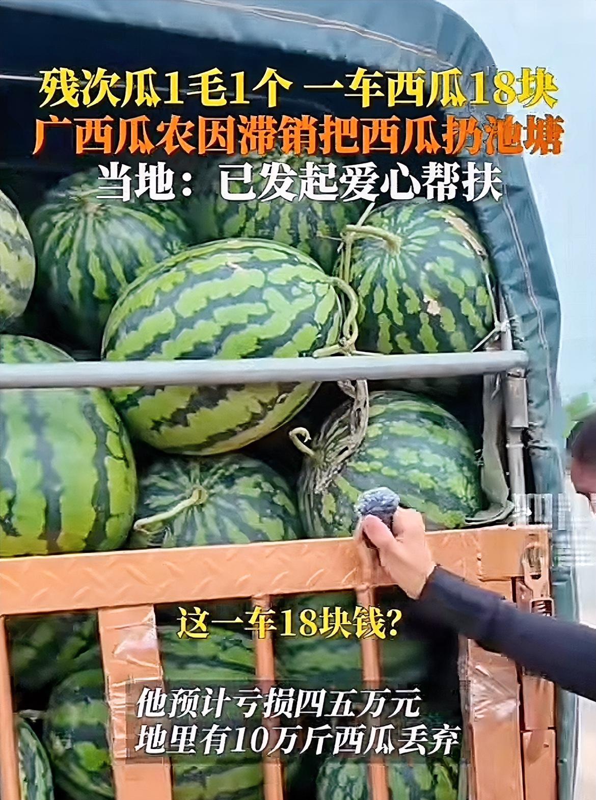 看到这一幕！不要说韩国网友破防了，连我都要破防了，这西瓜也太便宜了吧！精品