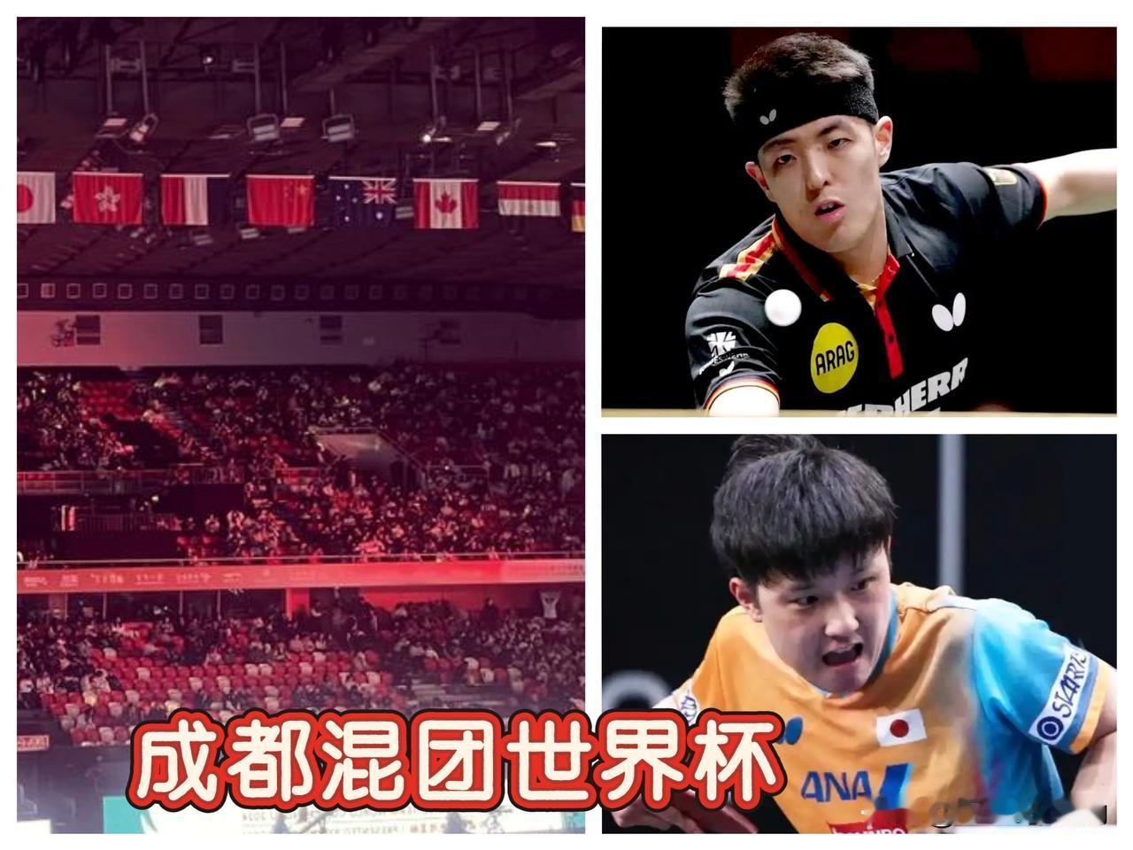 张本智和又输了！不是因为自己的技术厚度，也不是邱党的战术突破，而是看台上那片山