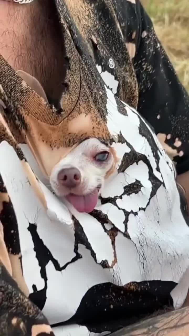 还是个调皮的图案😜