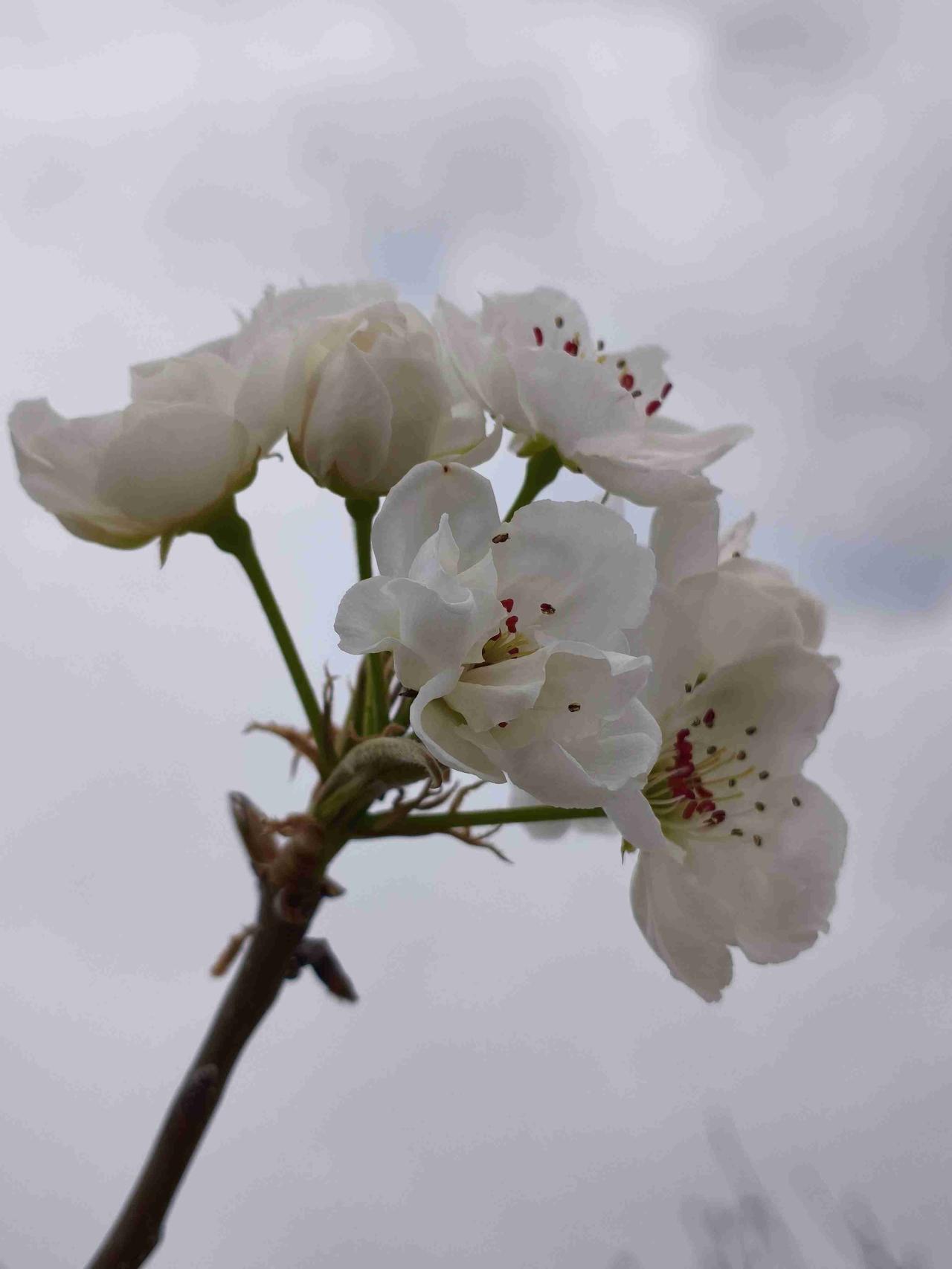 2024年4月退休，到现在两年，有几个小习惯，感觉受益匪浅。1、不刻意存钱。