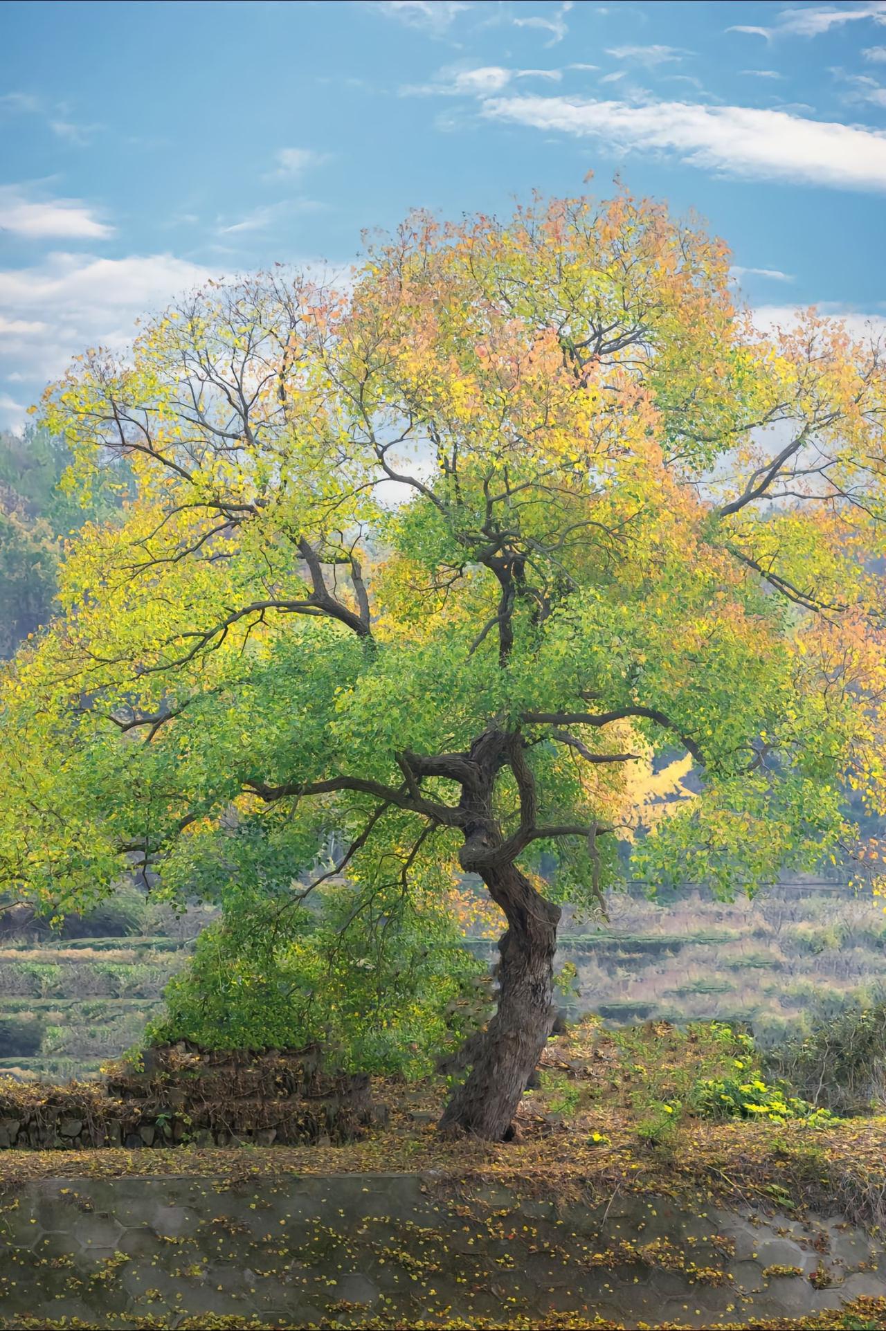 刚刚和南京一位高校的女教授聊天，主要聊的是两性问题。她老公在外面找了别的女人，也