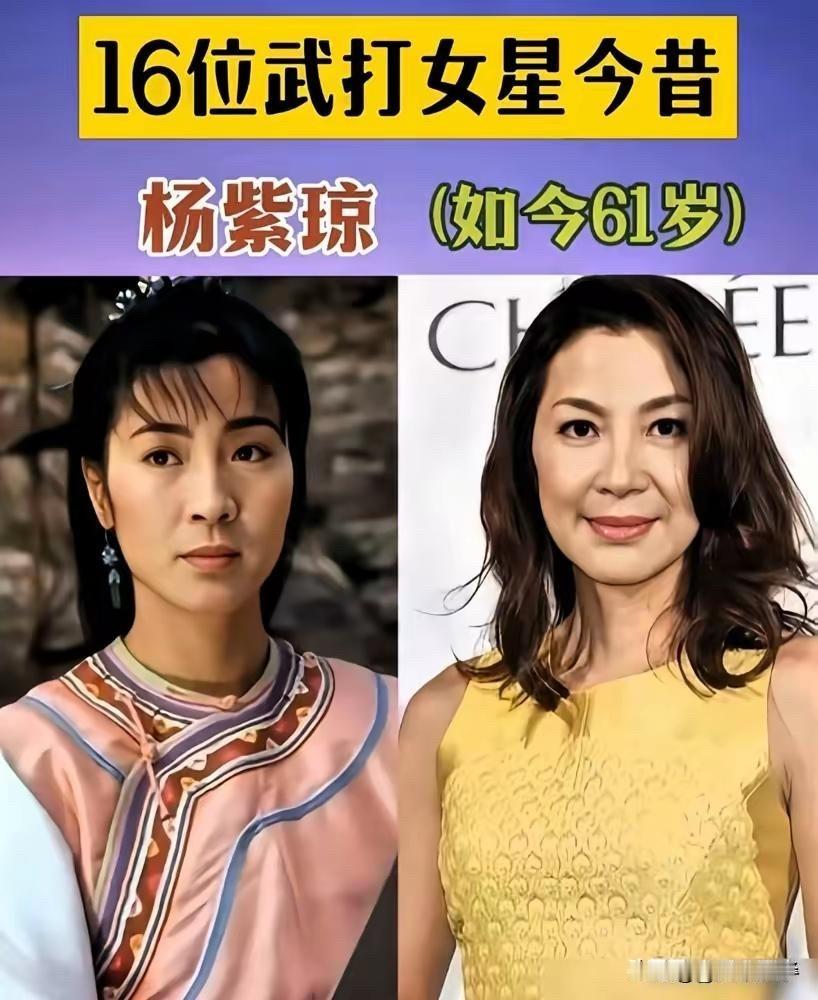 8位武打女星今昔对比！杨紫琼61岁成奥斯卡影后，惠英红64岁还在打！杨紫琼：