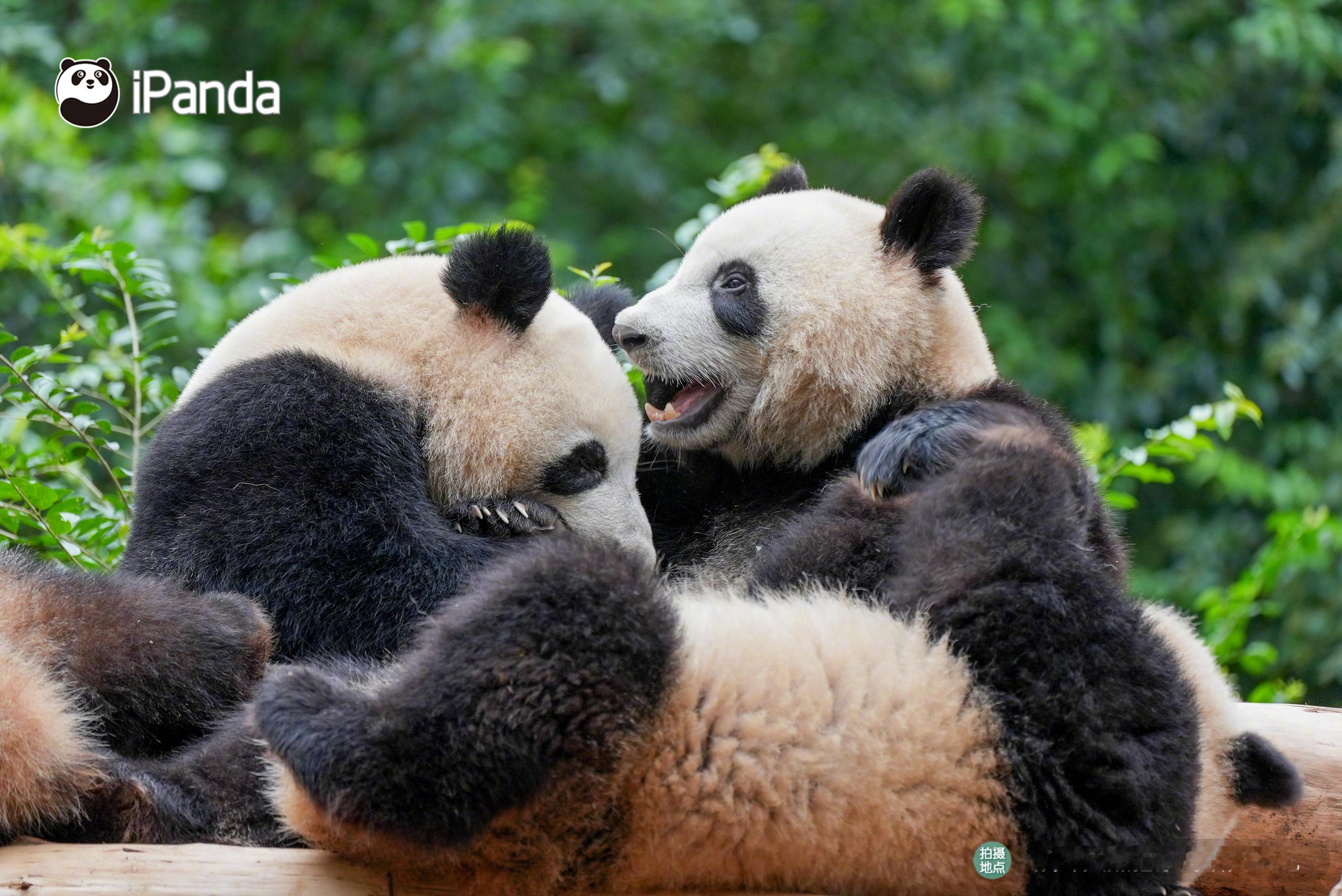 玩玩闹闹又是一天～