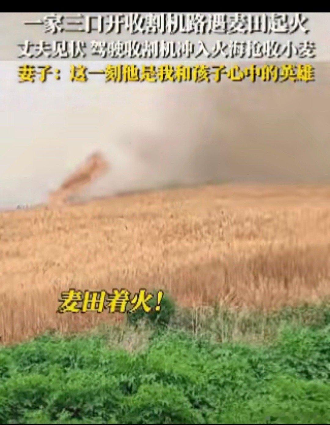 山东曹县，开收割机救麦子的小伙，​最好的回报来了，​不是被夸奖，不是被当地人感谢