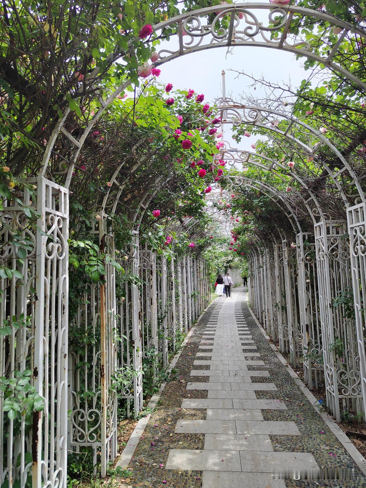 我的养老金很低，根本不够用。但刚退休这俩月，我没有花完退休金，并且还有点结余！