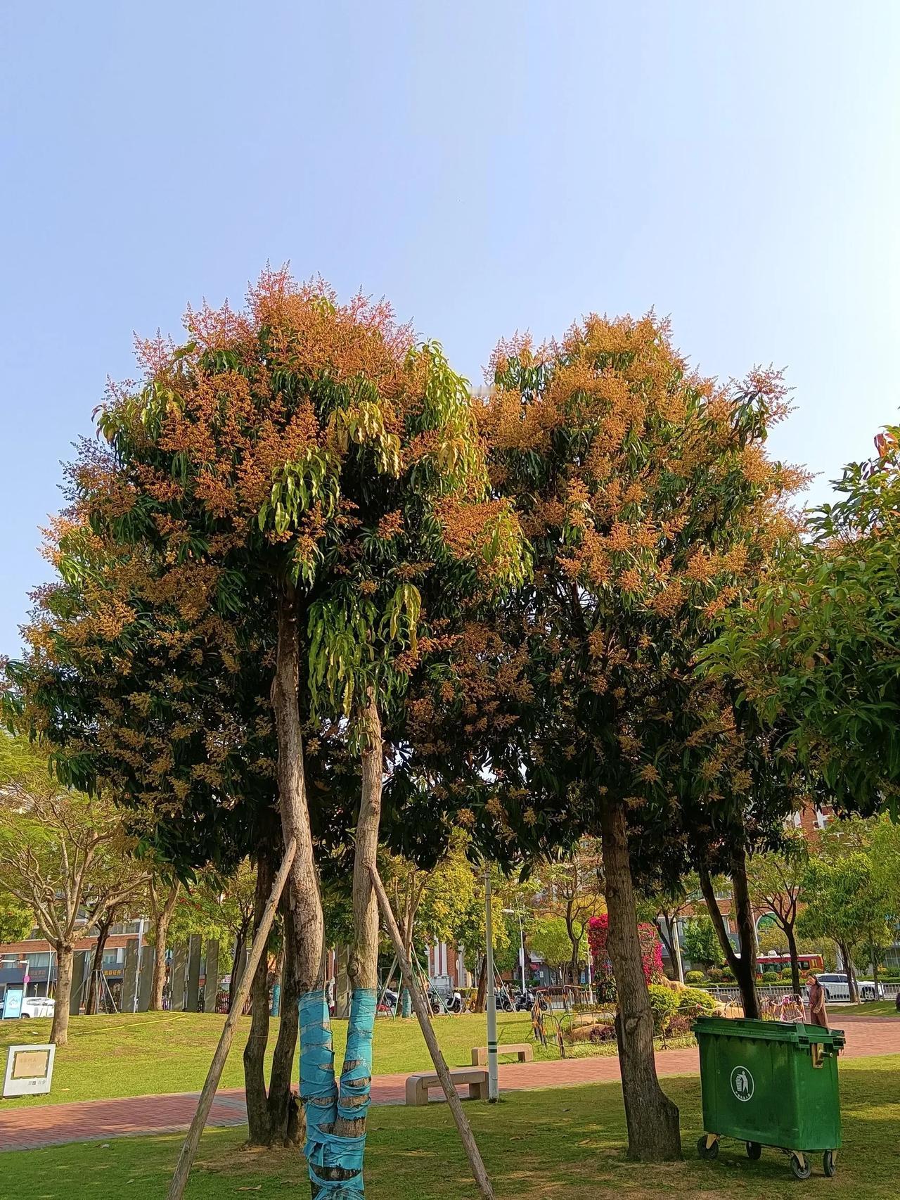 你能分辨出它们都是些什么动植物？都能分辨出它们是在什么地方拍摄的吗？相信有人能