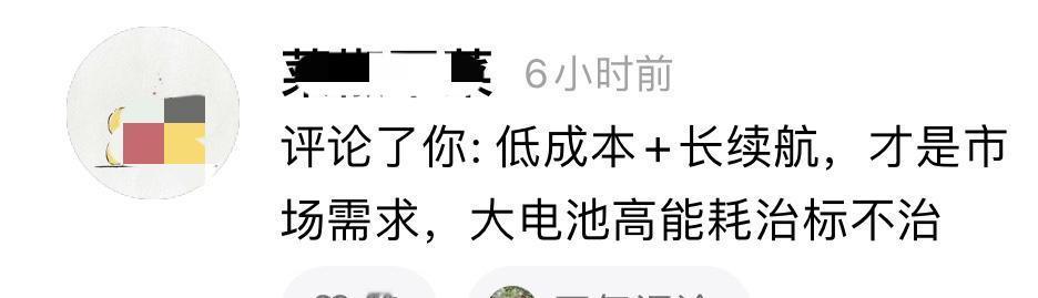网友直呼：比亚迪这操作是21世界最伟大的发明！很多汽车博主都说买车要么买纯油，