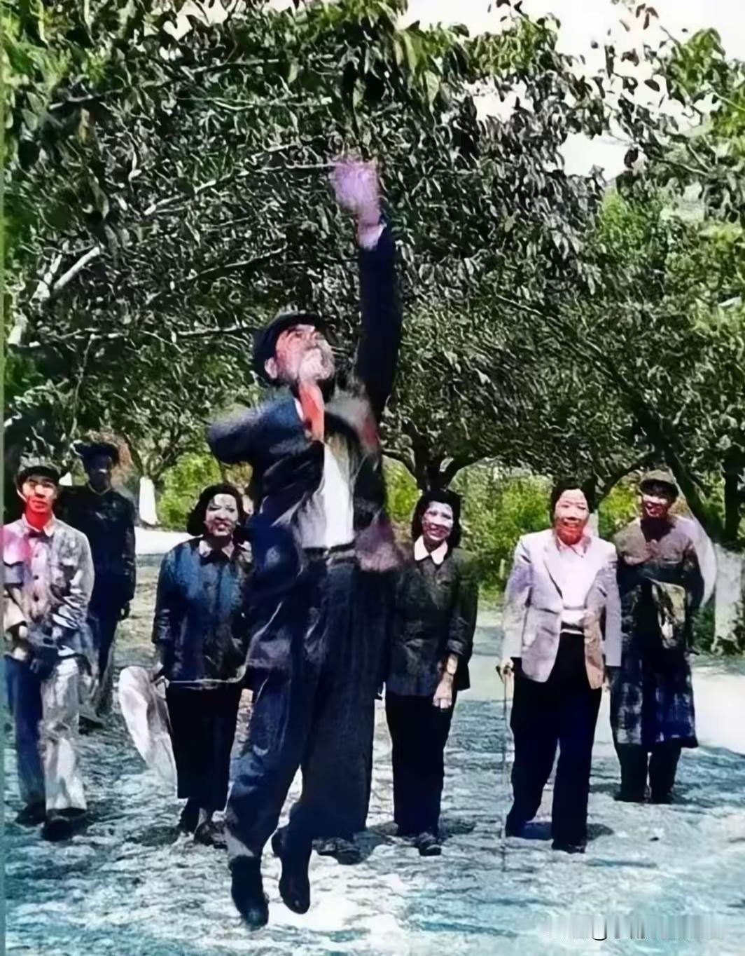 1961年中南海，周总理纵身跃起摘下一个大苹果给邓颖超。