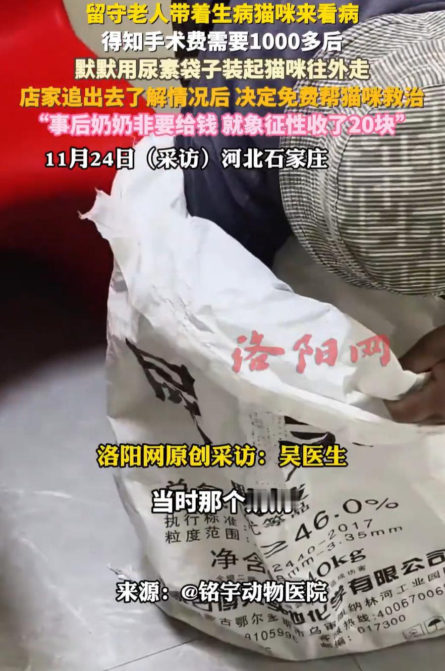 泪目！河北石家庄，一位留守老人拎着尿素袋走进一家宠物医院，随后从袋里抱出一只小猫