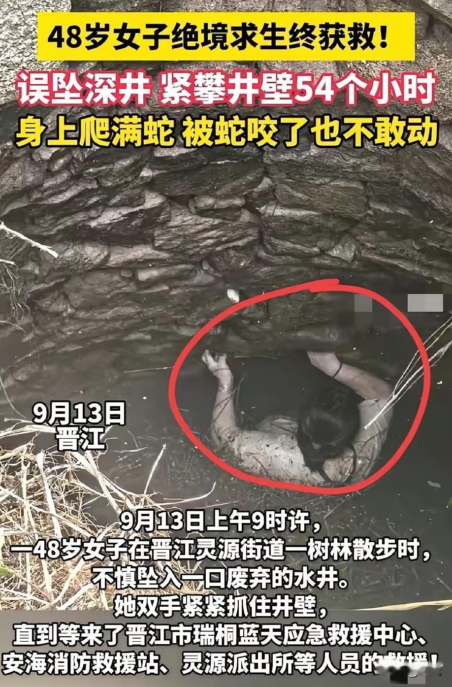 覃女士从未想过，一次普通的树林散步会变成一场生死考验。那天傍晚，她踩着落叶小径漫