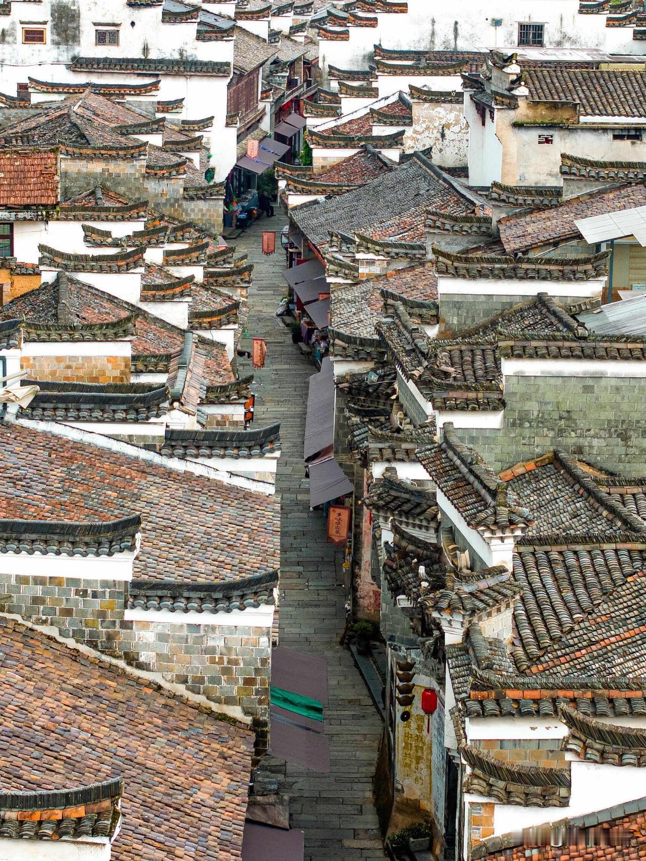 江浙沪宝子冲！江山冷门游太香了谁还在挤热门景区？江山这冷门小城直接封神！