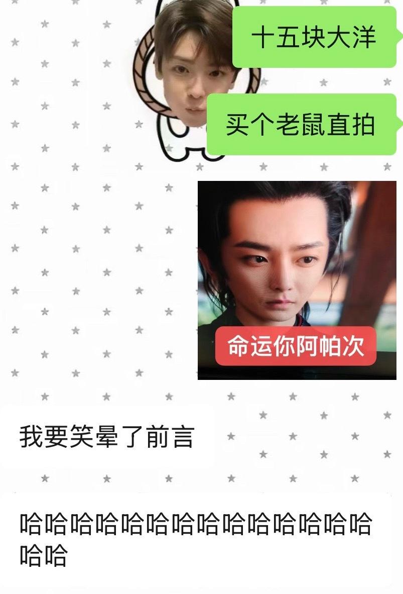 你们别欺负我了​​​