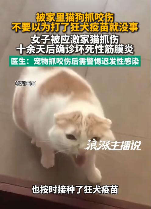 8月7日广州日报报道，陕西西安，一女子习惯亲近互动，被家中应激的猫咪抓伤足背脚踝