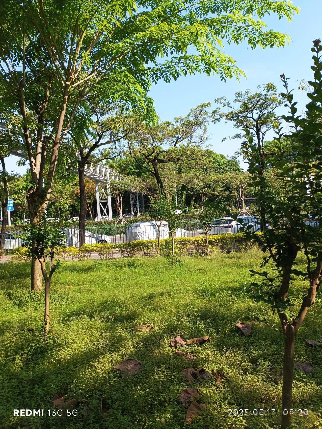 内心异常复杂的三大生肖生肖鼠、蛇、鸡内心很复杂。就说生肖鼠吧，看似机灵友善，实