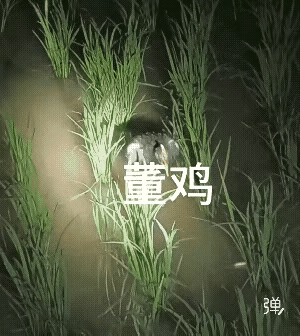 这家伙是不是保护动物？能不能抓回家？