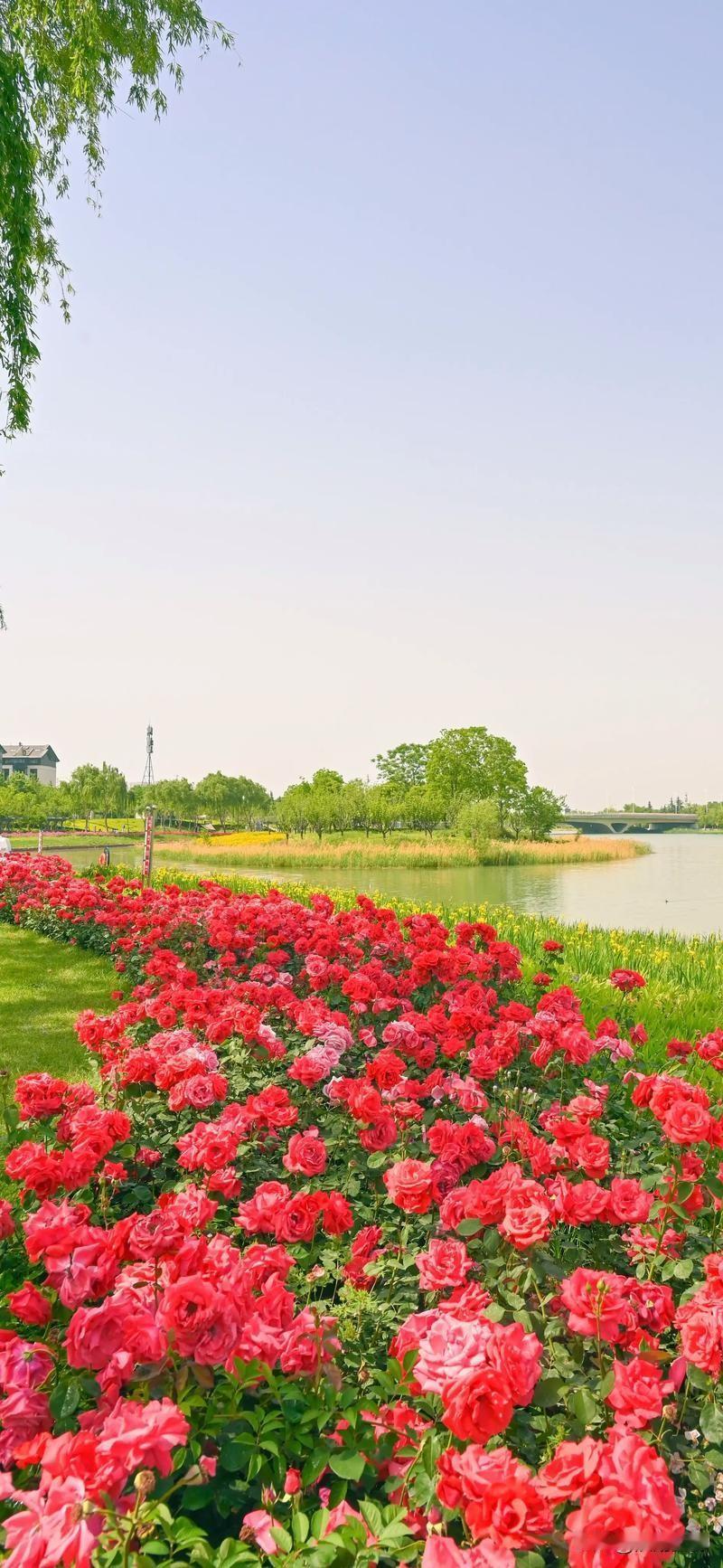 朋友的儿子要结婚了，但朋友聊起来就气不打一处来。孩子是自谈的，一个距离10