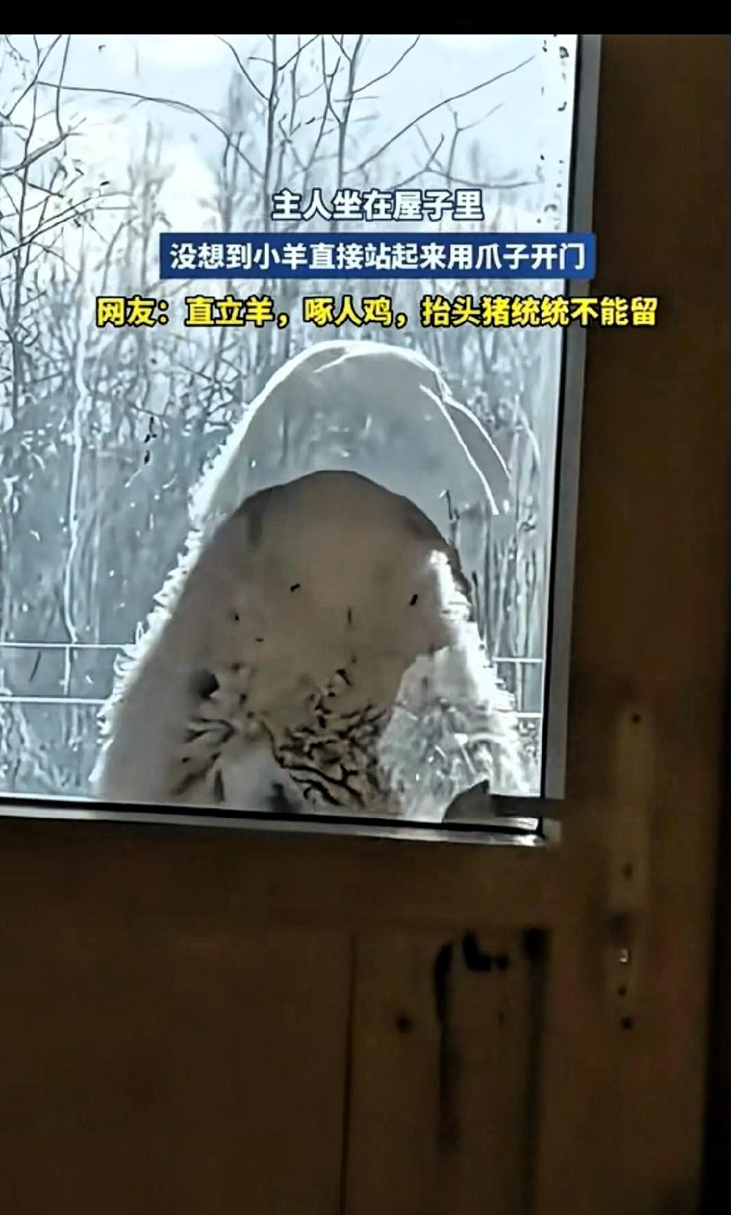 河北一男子大白天差点被吓破胆！自己在家午睡呢，突然听见一阵急促的“敲门声”。他迷