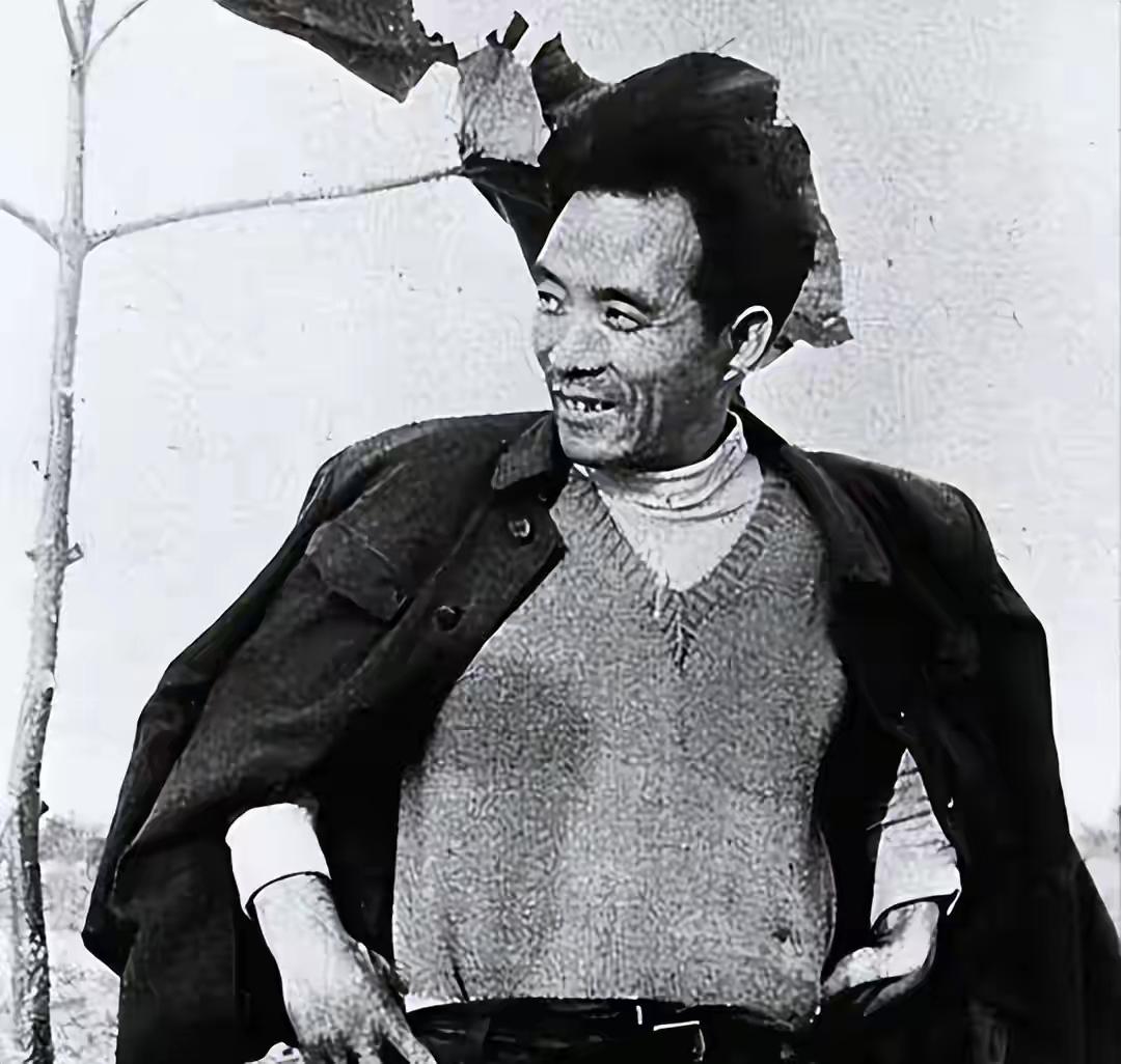 当年焦裕禄用来挡风沙的树，现在成了日本人做梦都想要的宝贝。话说这事儿还得从头
