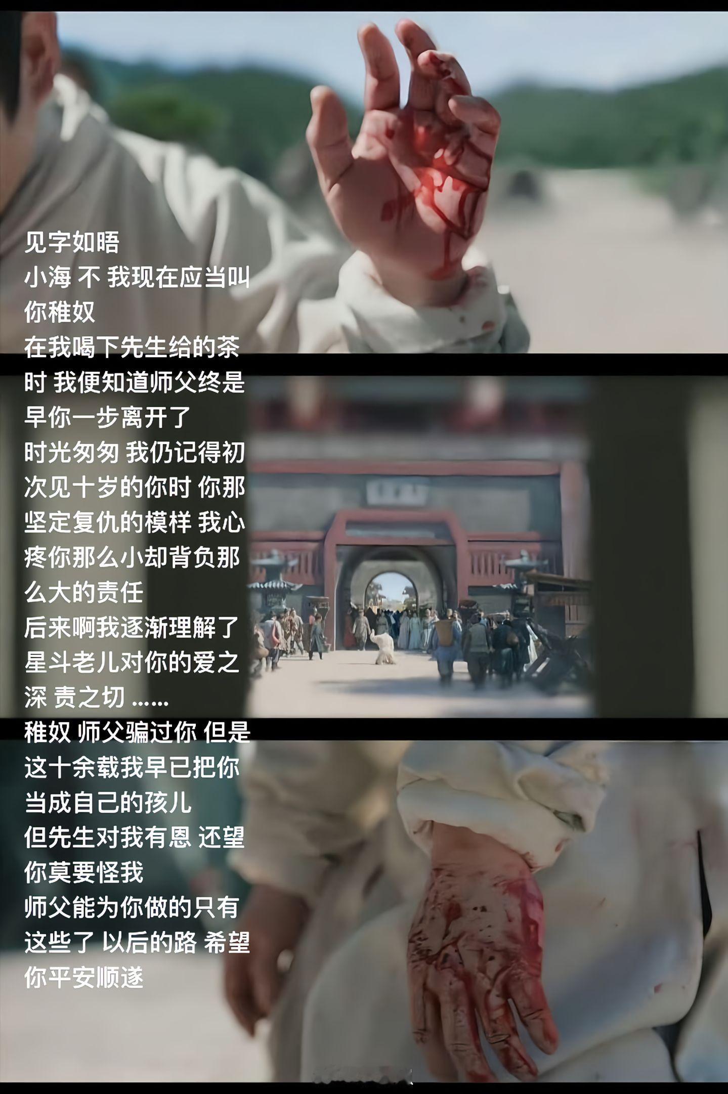 电视剧藏海传所以，所有我觉得可能要反水的意味深长的眼神，都是师父对稚奴一