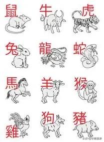 十二属相分别对应什么专属花木？桃花对应的是哪个生肖？1. 子鼠：寒梅2