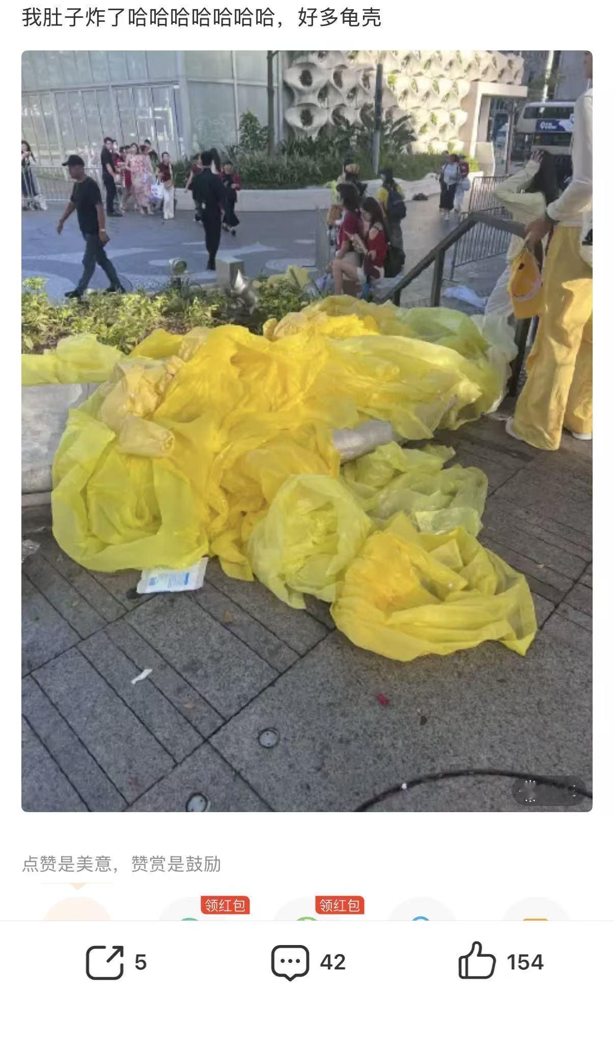 一大早好多有趣的画面，哈哈哈哈哈哈哈