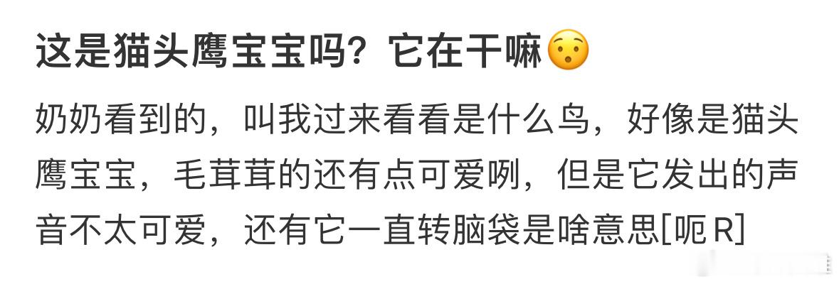 这是猫头鹰宝宝吗？它在干嘛😯​​​