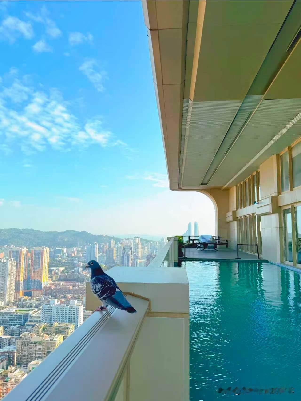 公元2226年的房子：厦门帝景苑如果有个人从200年后穿越回来盖房子，他第