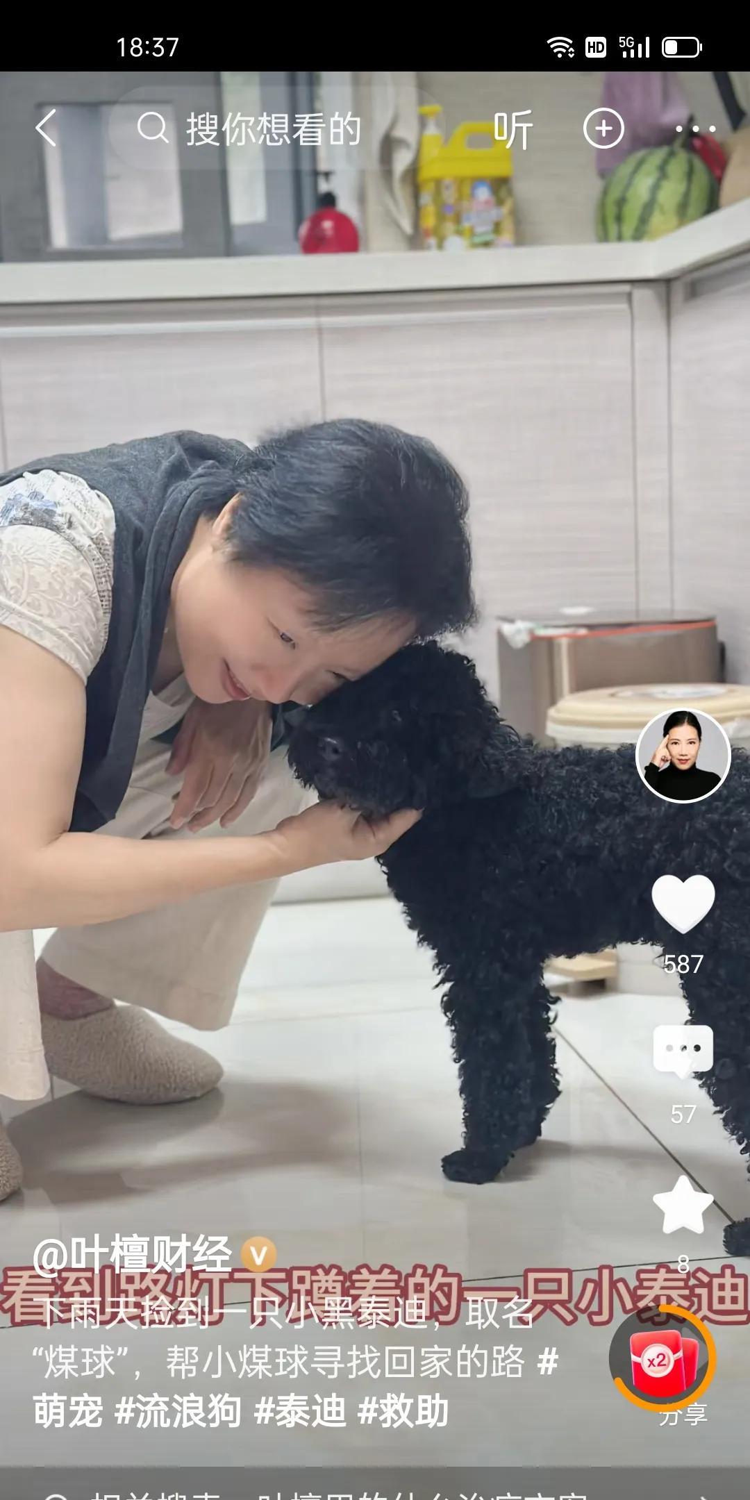 发现了吗？叶檀女士变得非常喜欢小动物了。记得以前她展示过她有个黄色的猫咪，叶