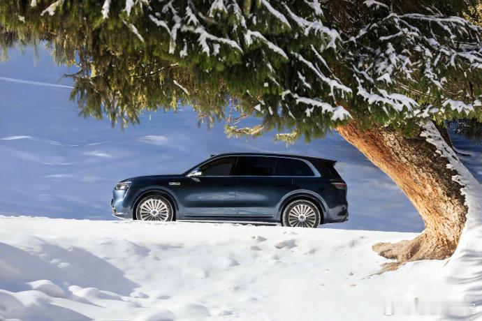 突然发现增程式混动在严冬就是“开挂”的存在。增程器意味着续航焦虑彻底消灭，哪怕是