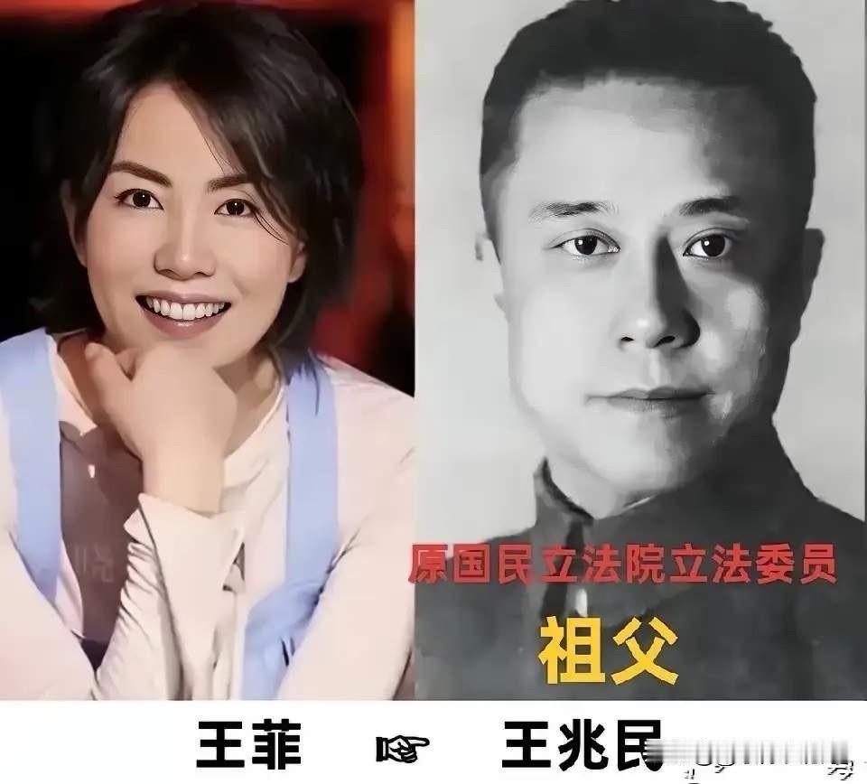 王菲，家境原来这么好还这么努力。陈红，家境原来这么好还这么努力。朱珠，家境原