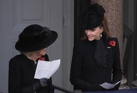 婆媳两人的关系挺好，有说有笑，卡米拉王后和凯瑟琳王妃不过是在演戏罢了。卡米拉