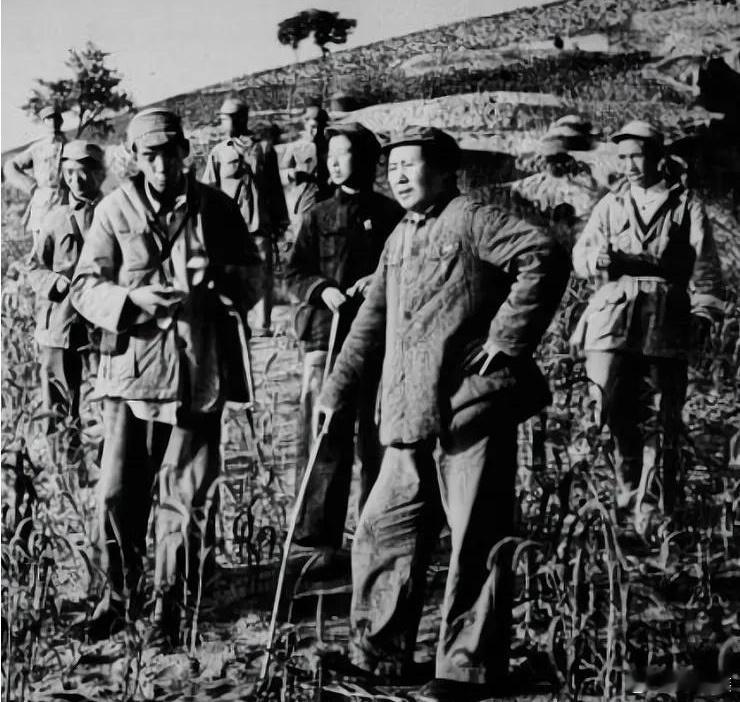 【九九缅怀、久久缅怀历史回声】毛主席说:“从群众中集中起来又到群众中坚持下去