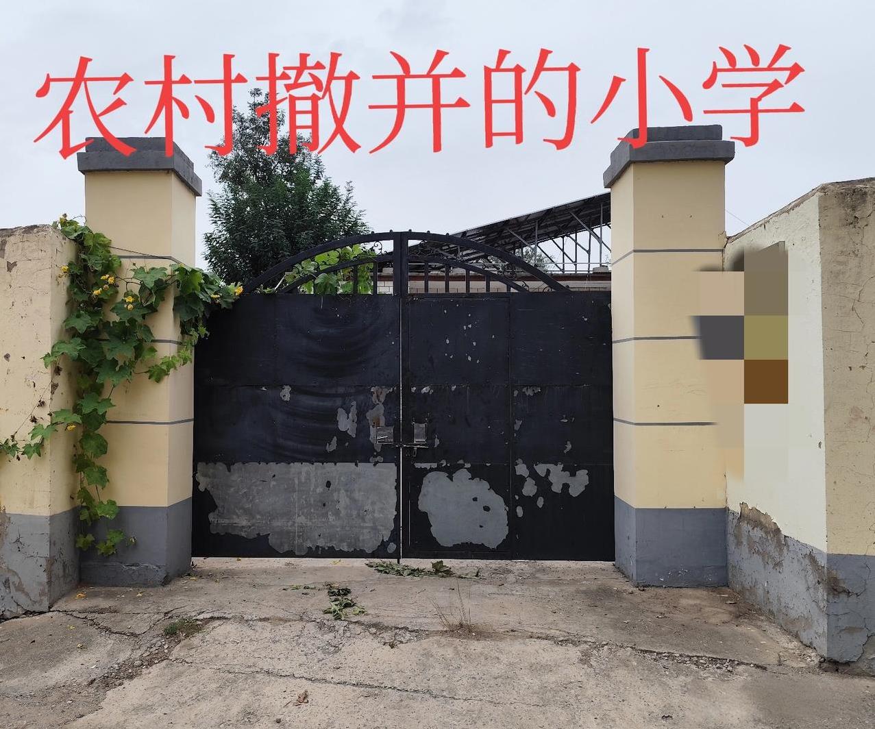 【大趋势:未来一个乡镇只有1-2所小学】今年我镇小学一年级只招生了不足100名