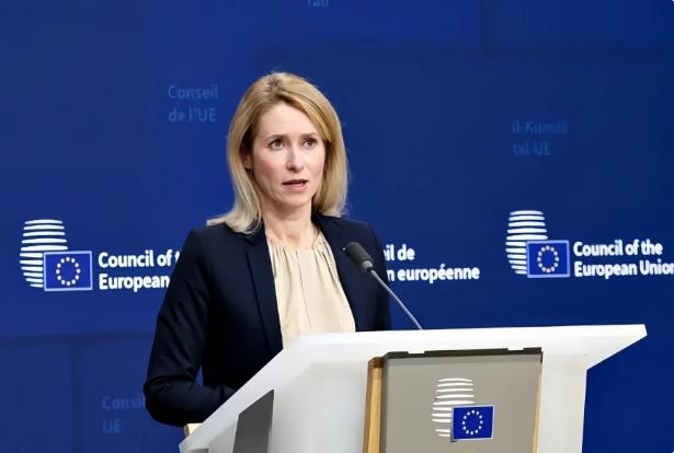 欧盟“自杀式”操作，想把中国踢出群，结果发现踢出去的是自己。那个号称砸了955亿