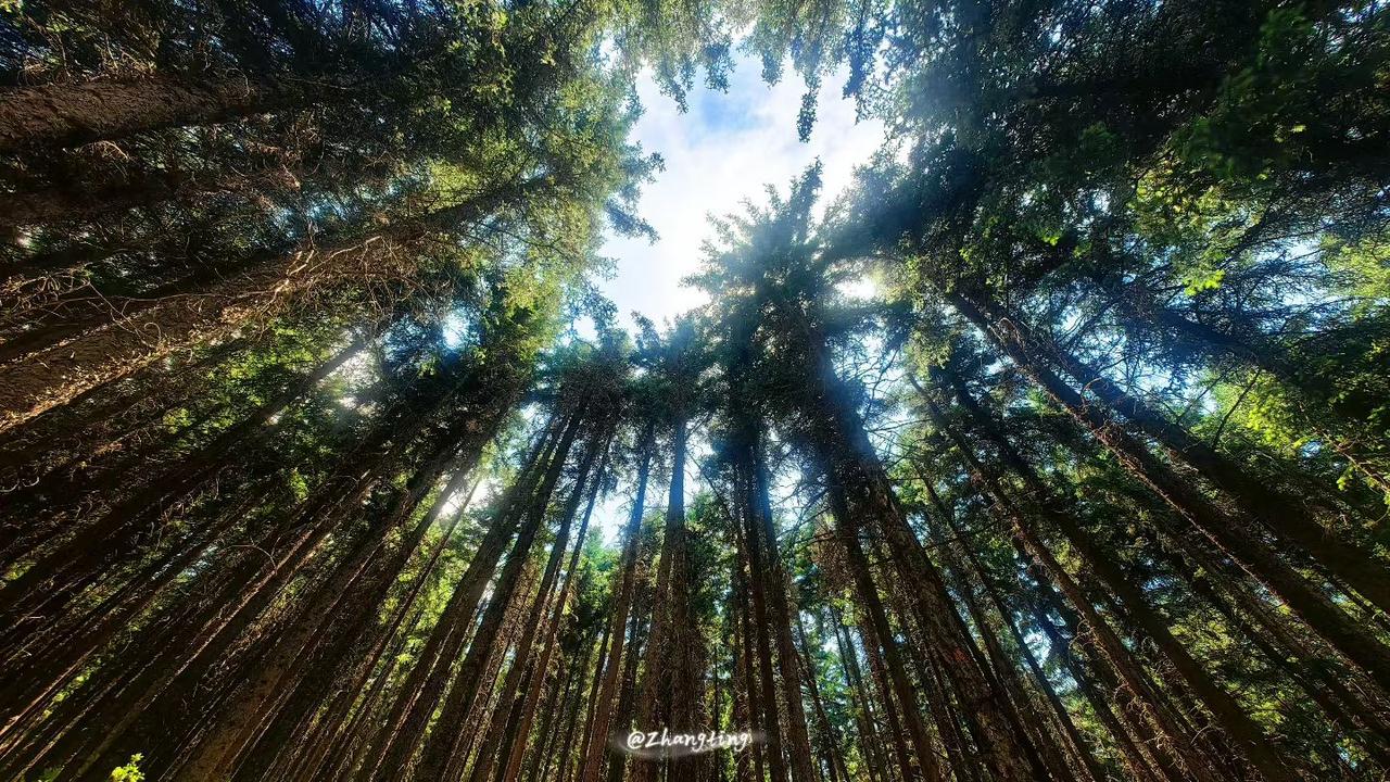 凭前世福报，租今世皮囊，看看风景，了了心愿，还还业障，终其一生不过是南柯一梦愿