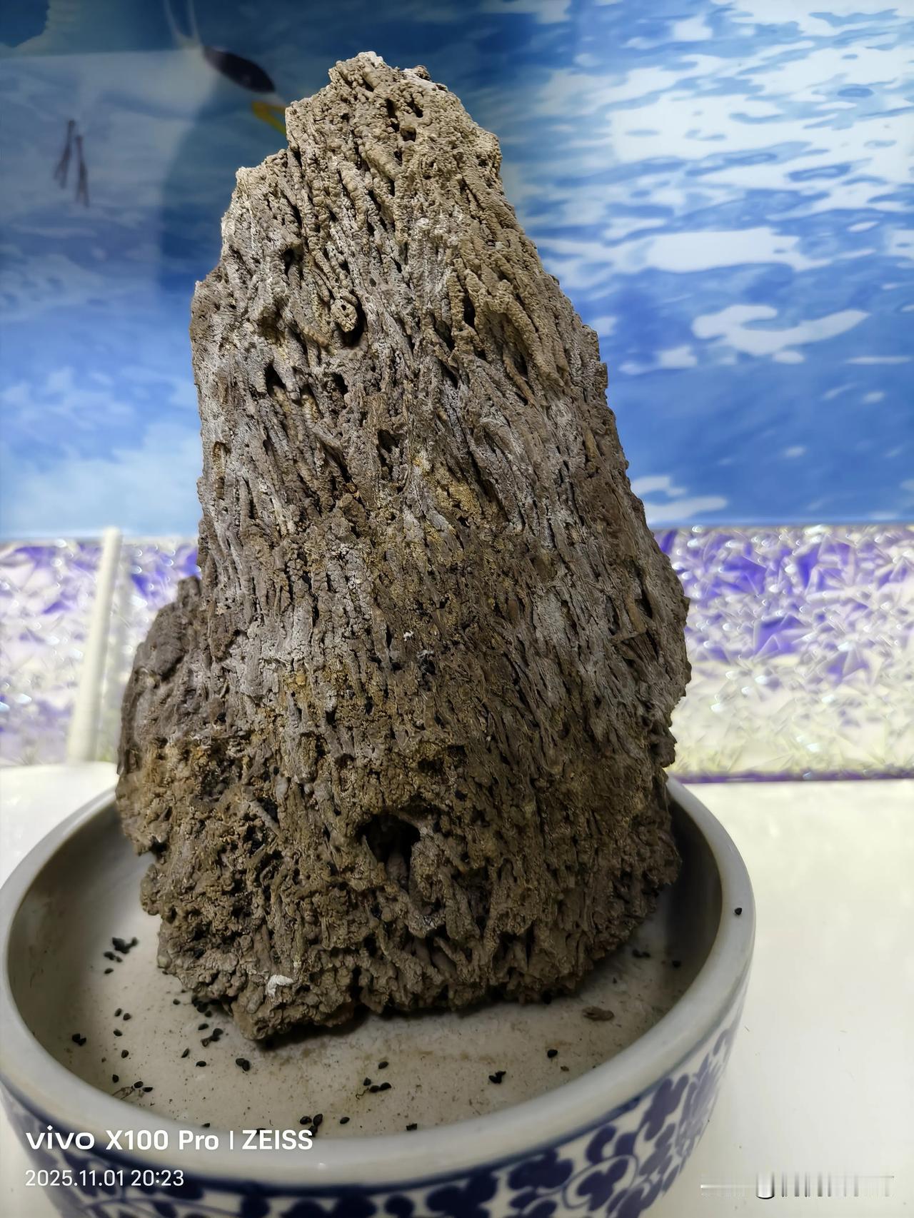 要装潢家，所以家里的一些东西该扔的扔，该处理的处理，下午800块钱处理了一台闲置