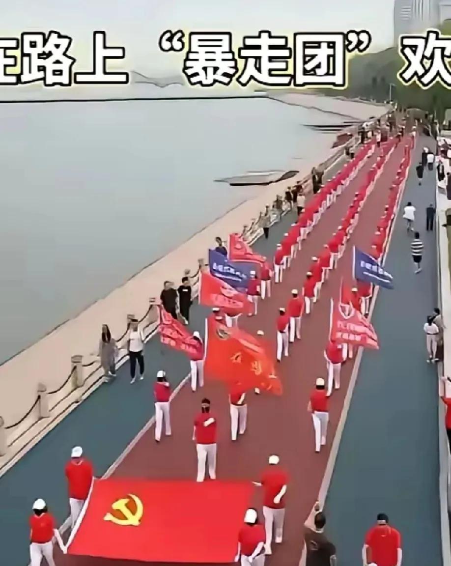 这个暴走团此举是属于违法行为！根据我国党徽党旗条例，大尺寸党旗是不允许出现在私人
