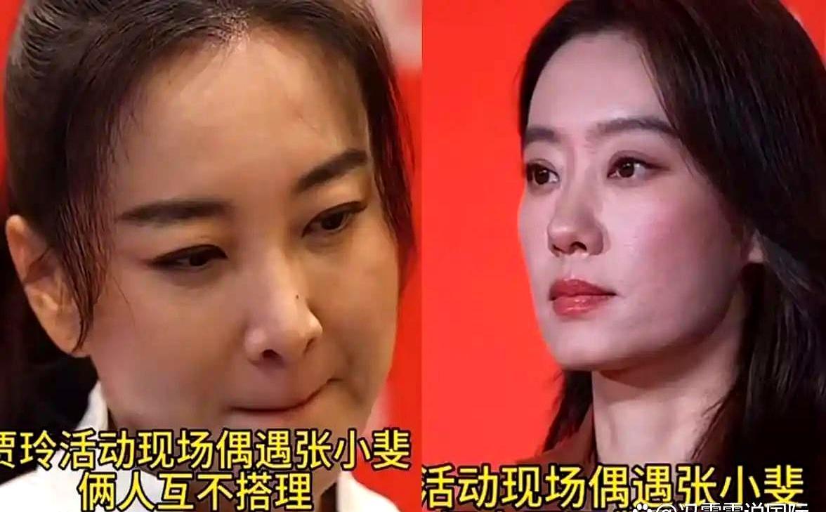 张小斐全程没瞧贾玲一眼！贾玲全程没有寒暄一句！她们并非不熟悉，张小斐曾说过，贾玲
