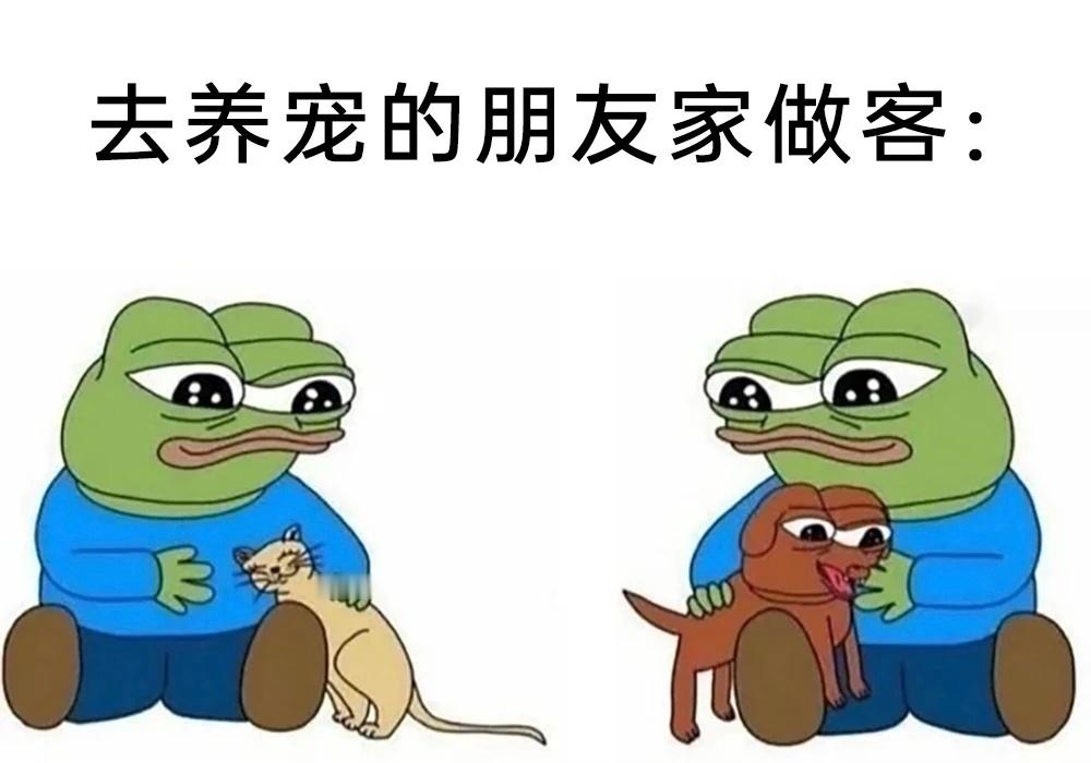 眼里全是毛茸茸🥺meme