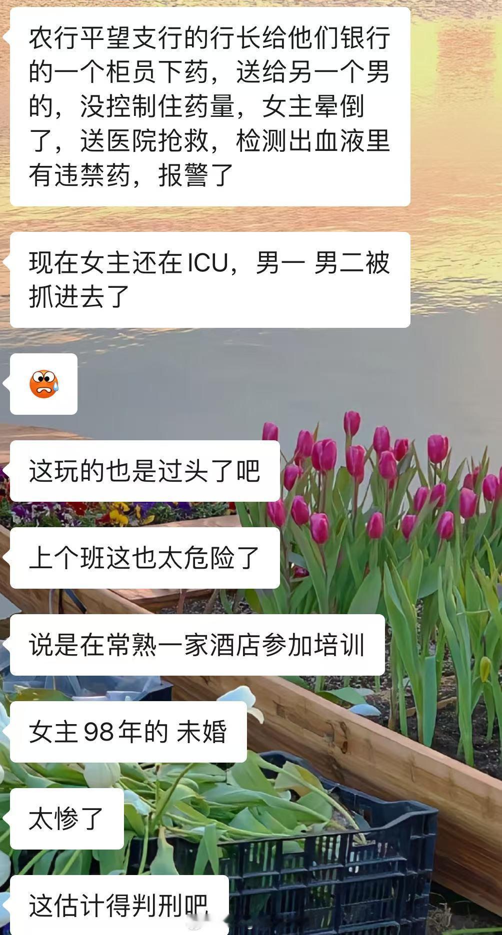 我滴妈…农行行长玩这么花的嘛。[doge]这🍉吃的我…