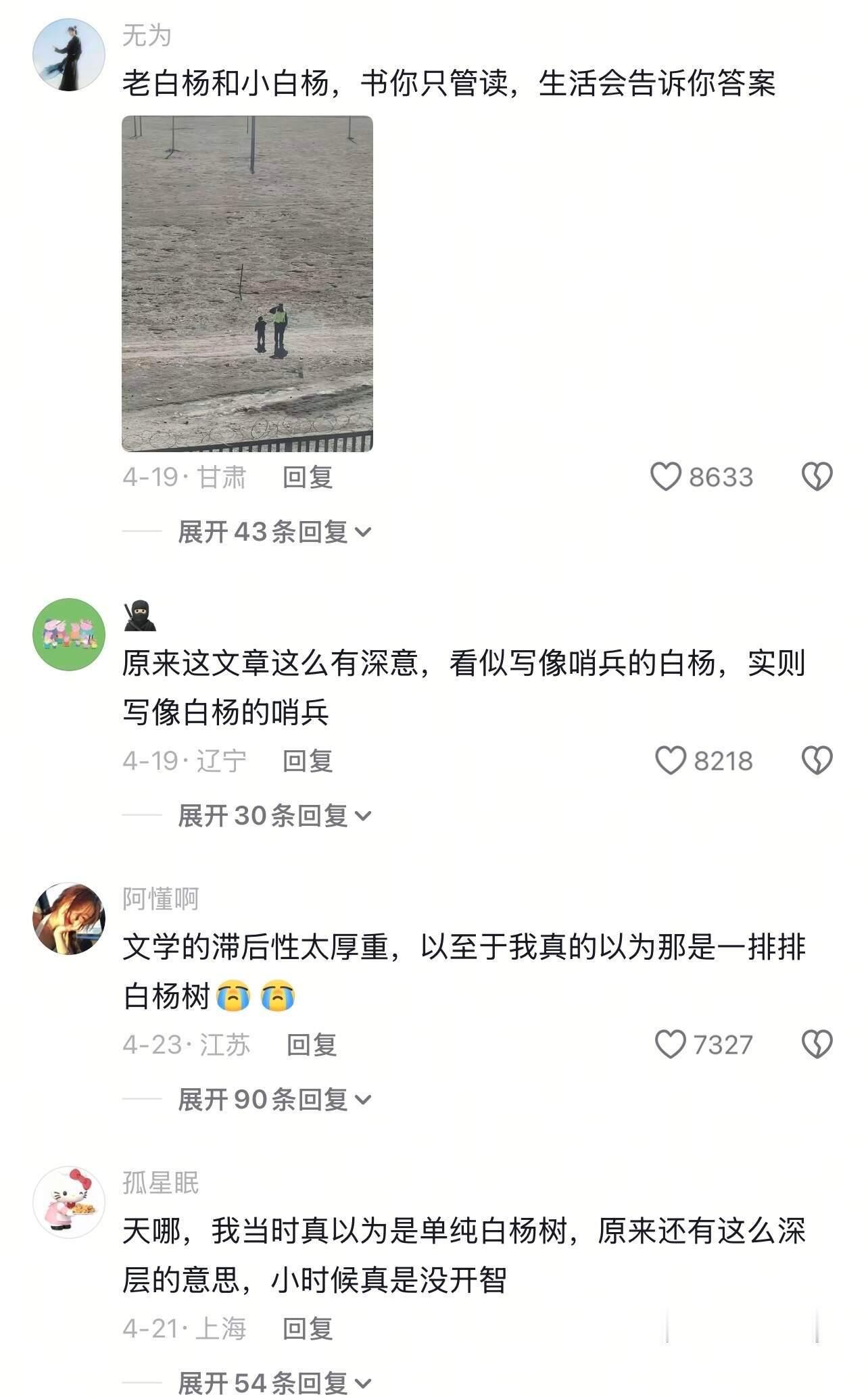 文学的滞后性太厚重，以至于我以为是白杨树​​​